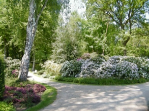 Rhododendronpark 17