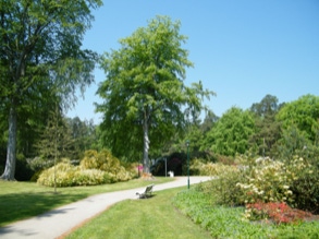 Rhododendronpark 9