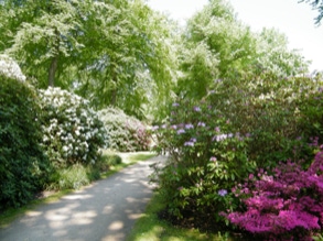 Rhododendronpark 17