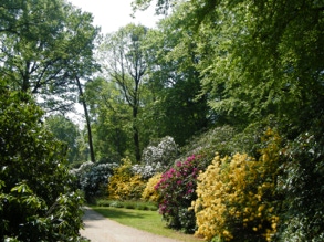 Rhododendronpark 17