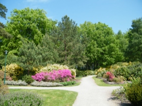 Rhododendronpark 1
